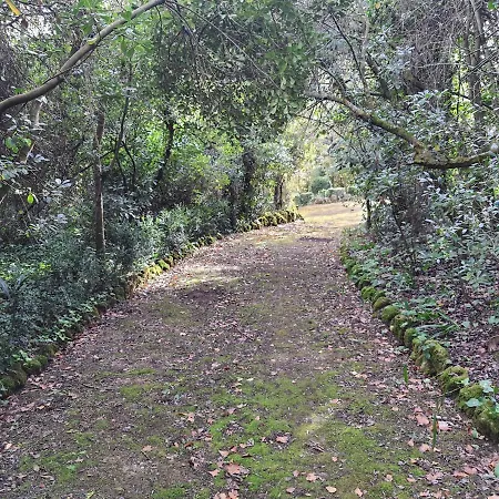 Casa D בית כפרי אובידוס