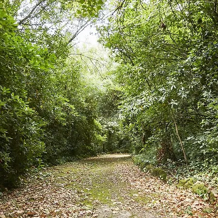 Casa D בית כפרי *