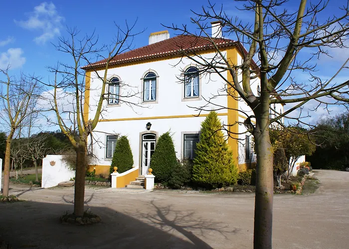 Casa D